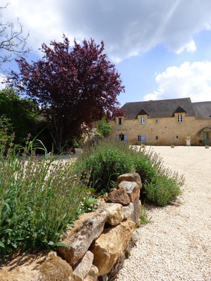 Bed and Breakfast Britavit Saint-Avit-Senieur Екстер'єр фото