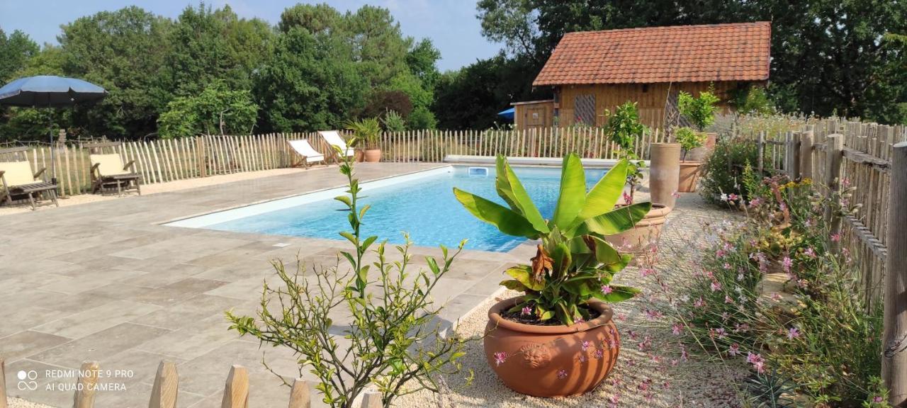 Bed and Breakfast Britavit Saint-Avit-Senieur Екстер'єр фото