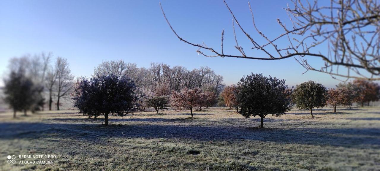 Bed and Breakfast Britavit Saint-Avit-Senieur Екстер'єр фото